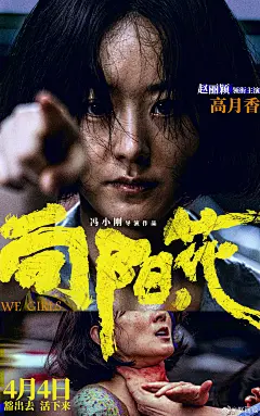 推荐汽车评测为什么容易被反复推荐？