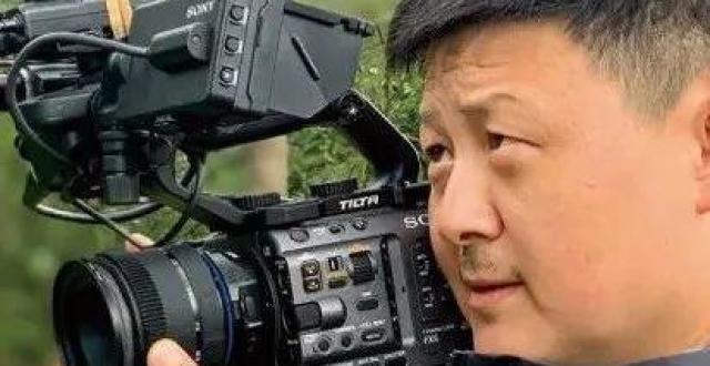 限定视角口碑新片